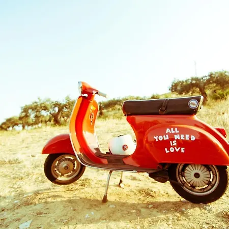 Cozy In - 70 M² With Balcony